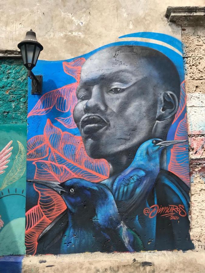 Casa Mamá Waldy New