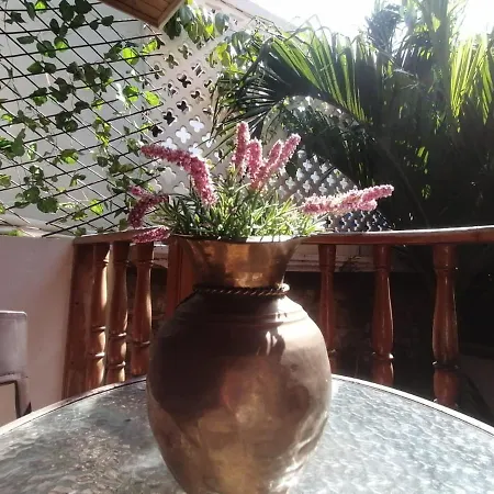 Casa Mama Waldy Hostel